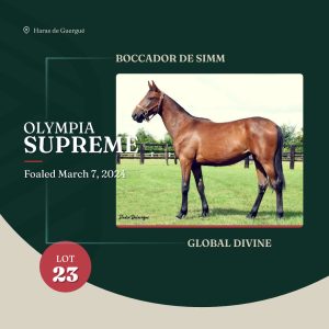 olympia_supreme_arqana_lot23_2025