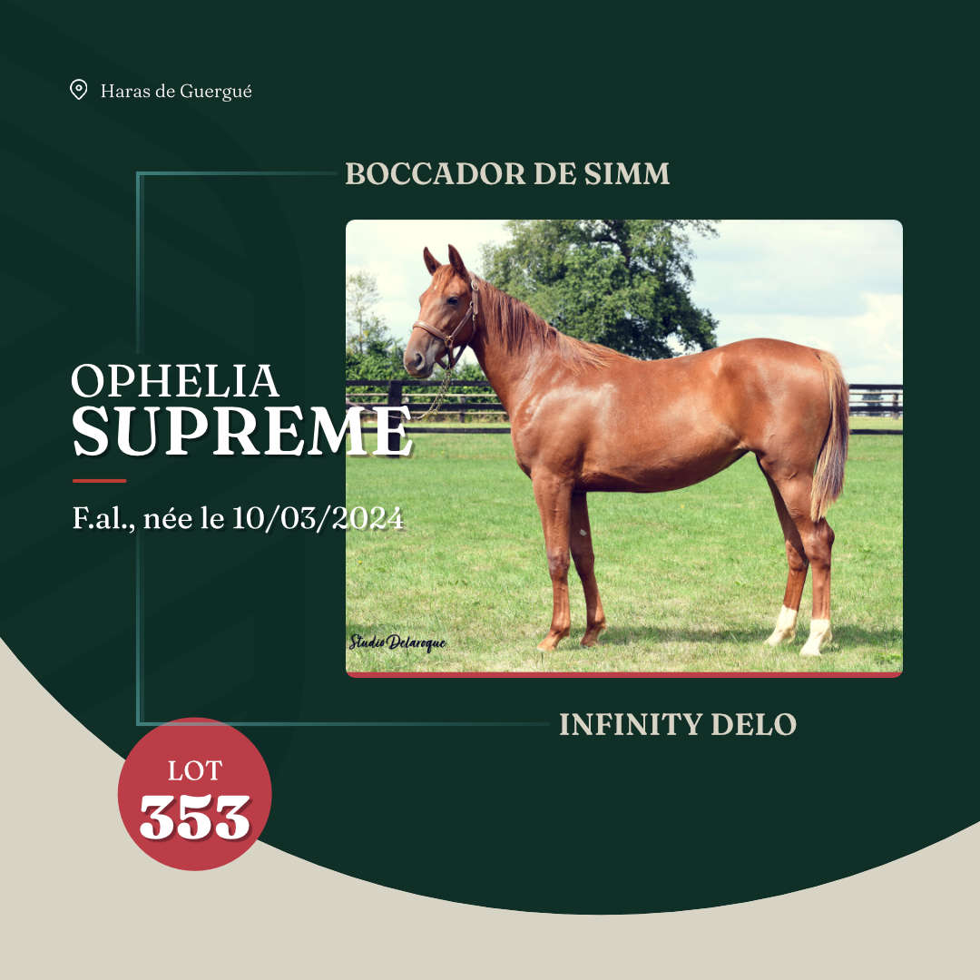 ophelia_supreme_arqana_lot23_2025