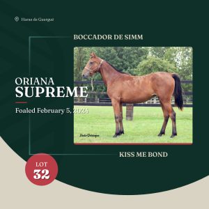 oriana_supreme_arqana_lot23_2025