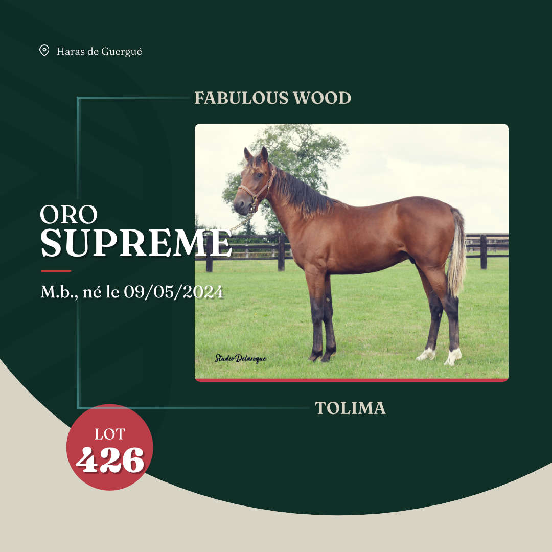 oro_supreme_arqana_lot23_2025