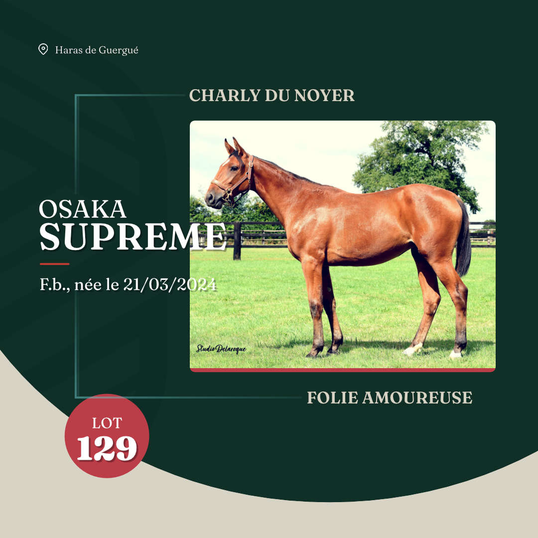 osaka_supreme_arqana_lot23_2025