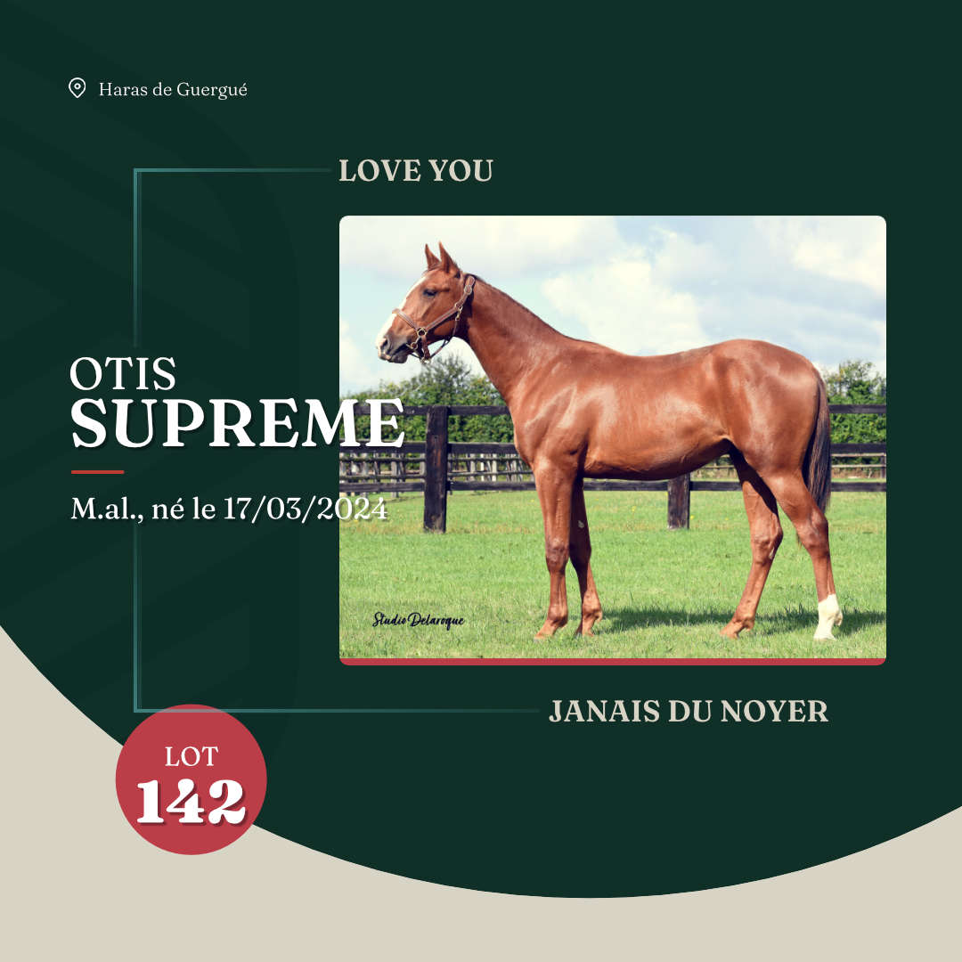 otis_supreme_arqana_lot23_2025