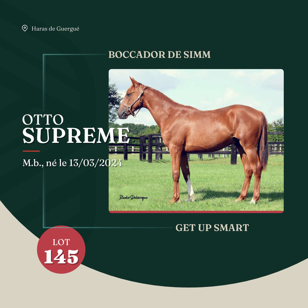 otto_supreme_arqana_lot23_2025